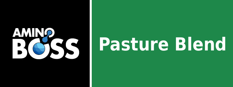 AMINO BOSS PASTURE BLEND - Sipcam Australia